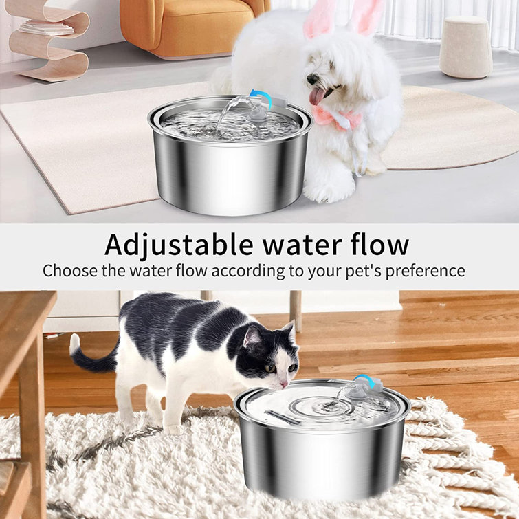 Automatic water fountain sales for dogs